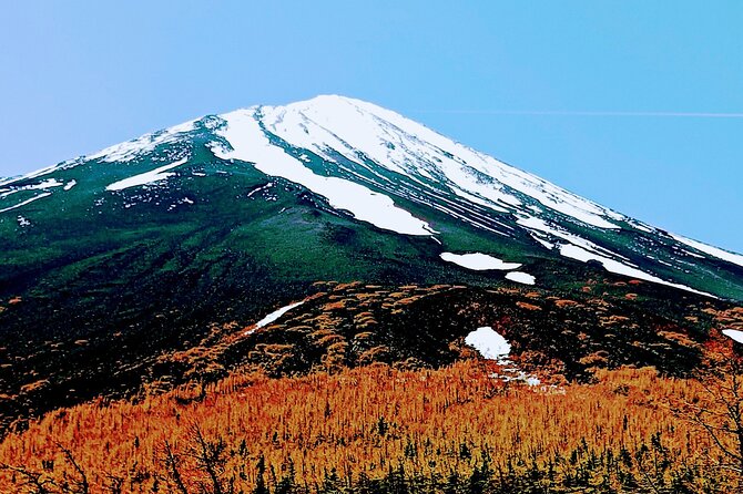 Mountain Fuji Tour In Japan With Professional English Tour Guide - Exploring the Region Beyond Mount Fuji