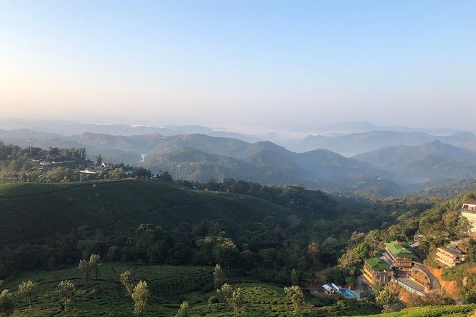 Mountain Hiking in Munnar (Half Day) by Munnar Info - Inclusions