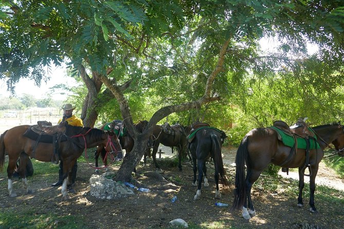 Mountain Horse Back Riding - Included Amenities