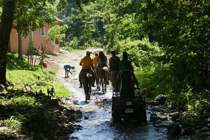 Mountain Horse Back Riding - Schedule and Pickup Times