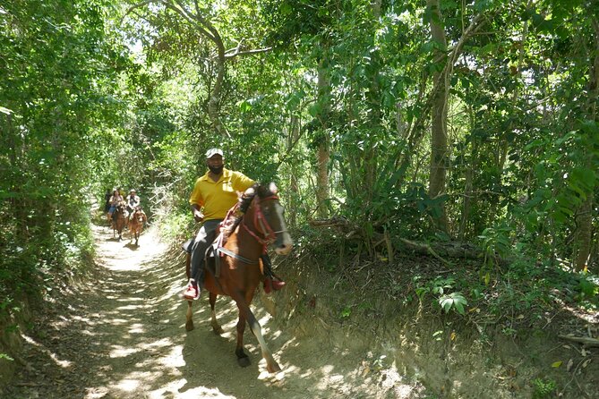 Mountain Horse Back Riding - Questions About Your Stay