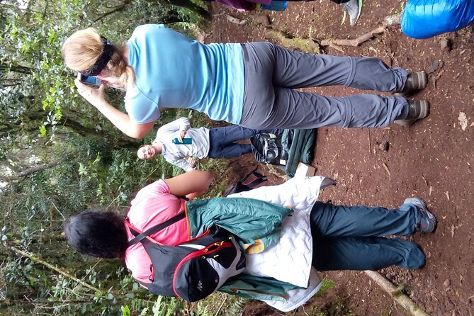 Mountain Kilimanjaro Day Hike - Exclusions From the Package