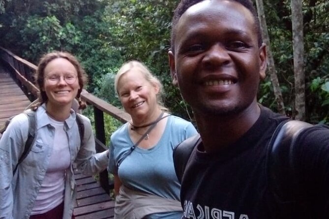 Mountain Kilimanjaro Day Hike - Itinerary and Route Information