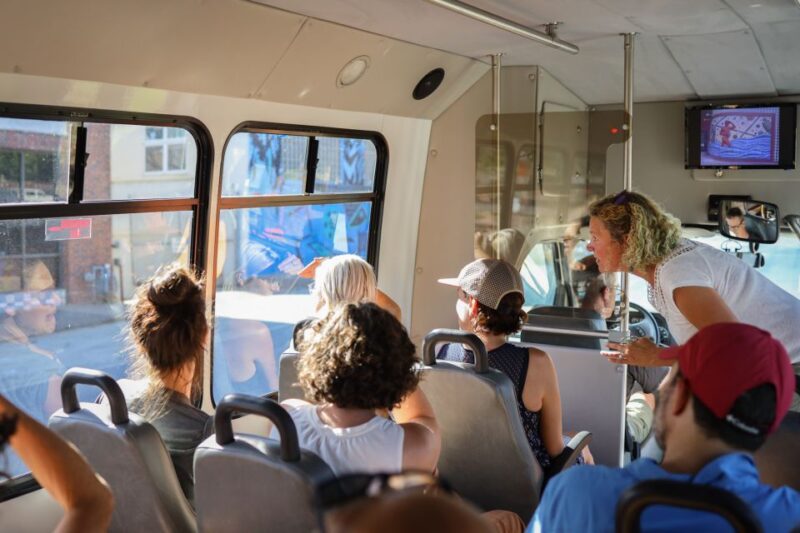 Mountain Mural Tour-River Arts and Downtown Asheville - Experience and Itinerary