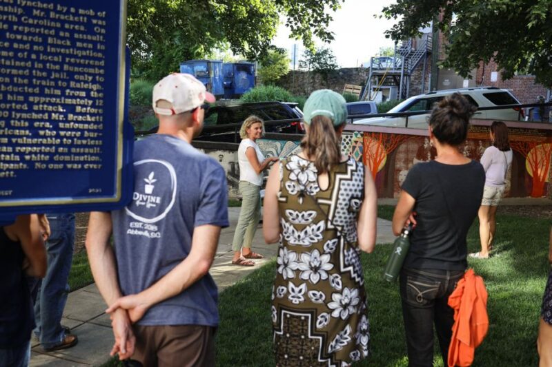 Mountain Mural Tour-River Arts and Downtown Asheville - Highlights and Learning Opportunities