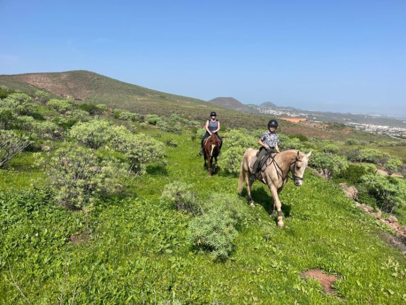 Mountain Panoramic Tour of 2 Hours - Key Points
