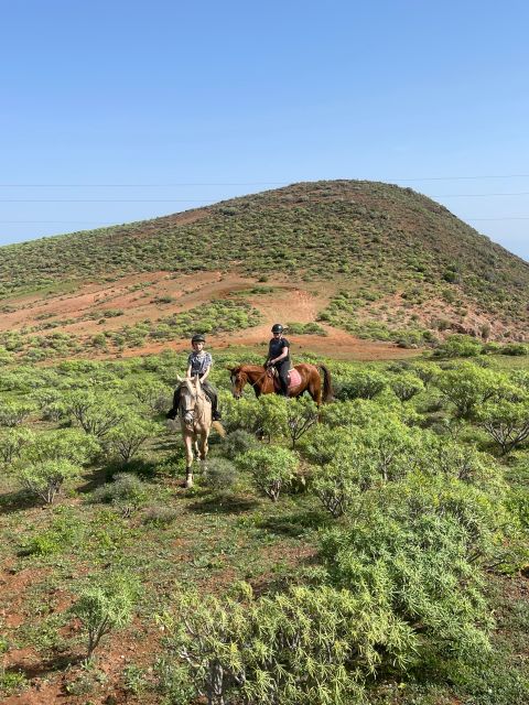 Mountain Panoramic Tour of 2 Hours - Pricing