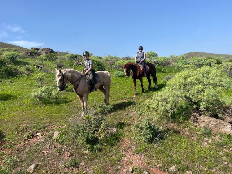 Mountain Panoramic Tour of 2 Hours - Itinerary