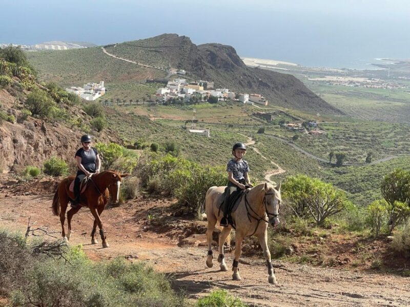 Mountain Panoramic Tour of 2 Hours - Requirements and Restrictions
