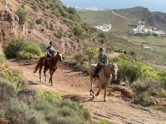 Mountain Panoramic Tour of 2 Hours - Group Size