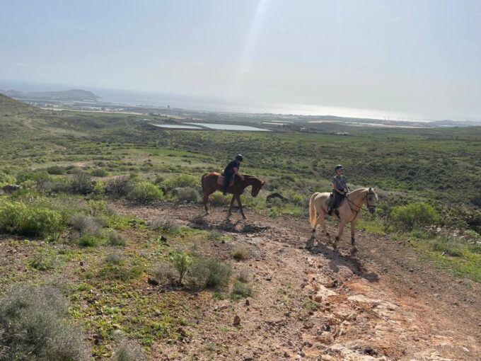Mountain Panoramic Tour of 2 Hours - Reservation and Payment