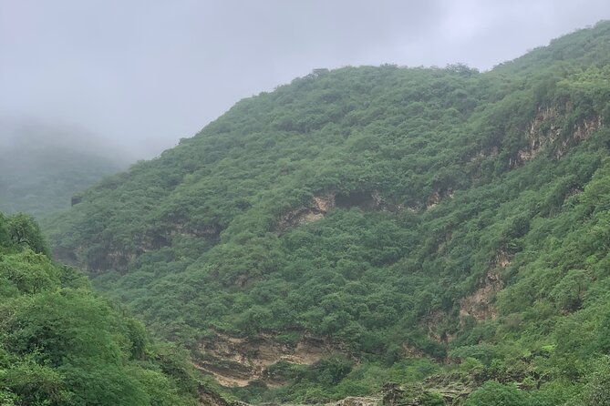 Mountain Safari Private Tour - Itinerary