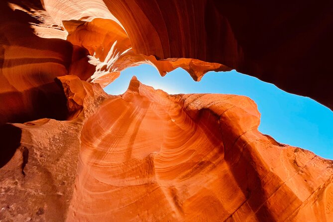 Mountain Sheep Canyon & Horseshoe Bend Tours - Arizona Tours - Included in the Tour
