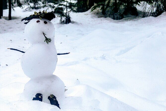 Mountain Snowshoeing & Photography - What Travelers Say