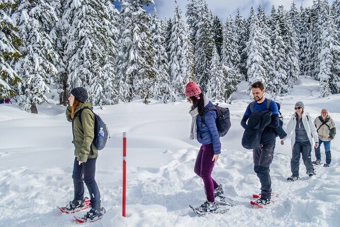 Mountain Snowshoeing & Photography - Final Thoughts: Is It Worth It?