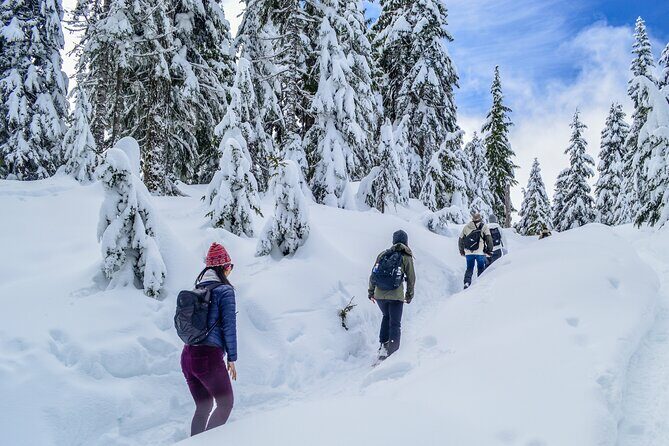 Mountain Snowshoeing & Photography - FAQ