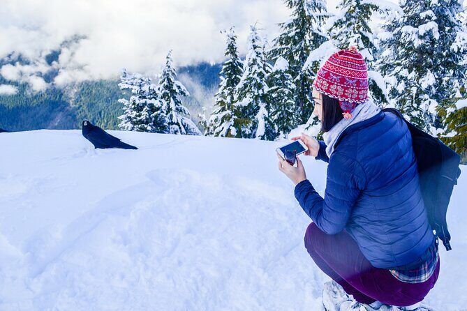 Mountain Snowshoeing & Photography - Final Summary