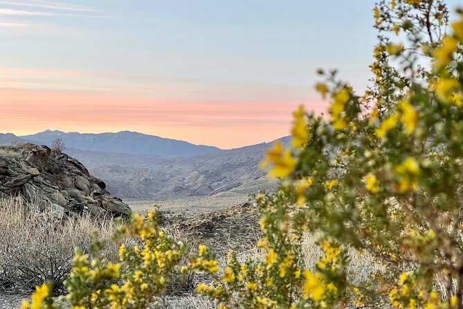 Mountain Sunrise Hike and Meditation in Palm Springs - Setting Intentions for the Day Ahead