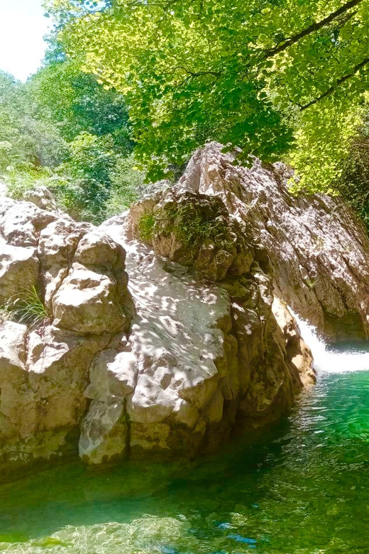 Mountain Train Experience: Hike & Mystic Forest (From Nice) - Itinerary Details