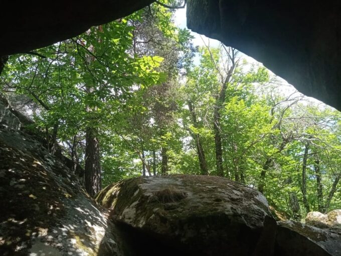 Mountain Train Experience: Hike & Mystic Forest (From Nice) - Optional Lunch in a Local Restaurant