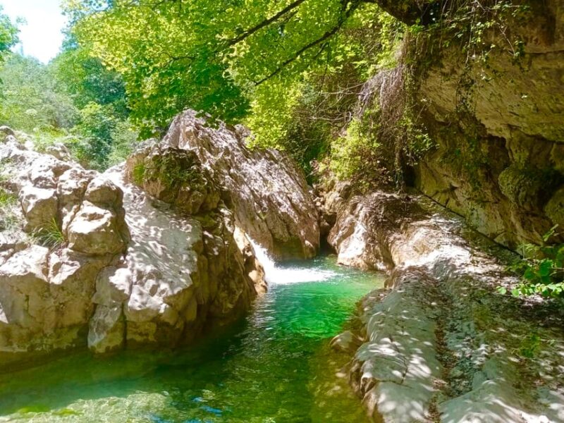 Mountain Train Experience Hiking & Mystic Forest (From Nice) - Hiking and Activities