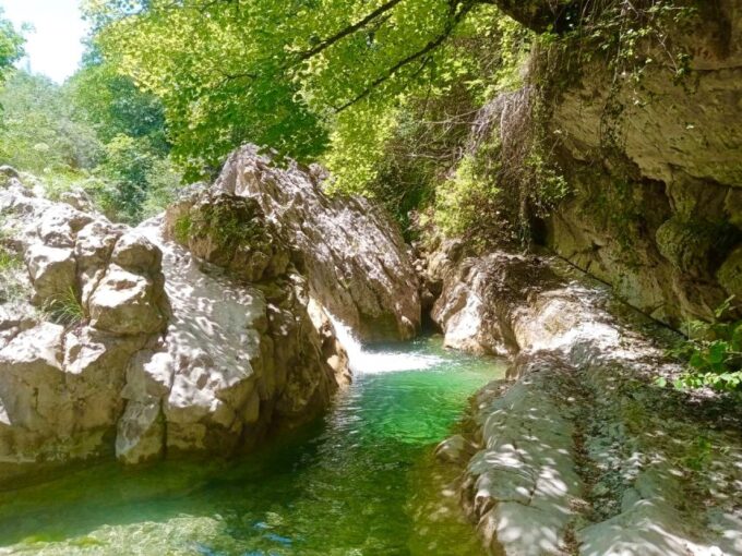 Mountain Train Experience Hiking & Mystic Forest (From Nice) - Suitability and Considerations
