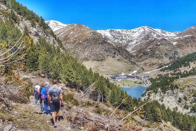 Mountain Train & Nuria Hike Pyrenees - Hiking Through Alpine Forests