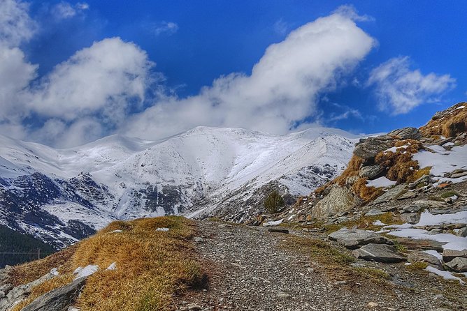 Mountain Train & Nuria Hike Pyrenees - Picnicking at Bosc De La Verge