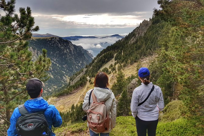 Mountain Train & Nuria Hike Pyrenees - Safety and Preparation Essentials