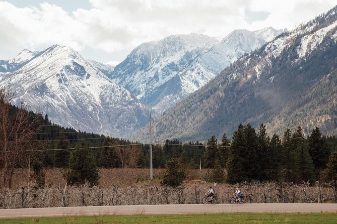 Mountain View E-Bike Experience - Customer Feedback and Reviews