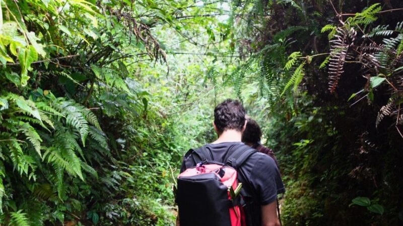 Mountain Views And Villages Trek - Highlights of the Tour