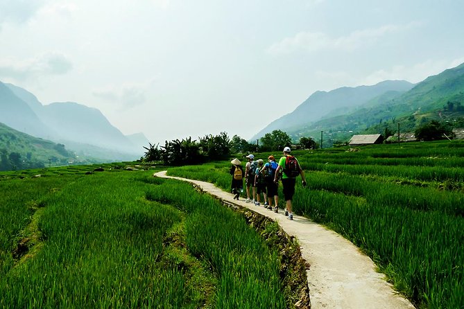 Mountain Views & Rice Terraced Fields Hiking – 2D 1N - Included in the Tour
