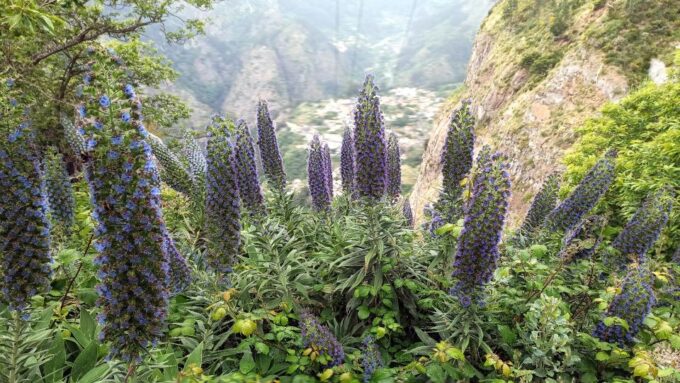 Mountain Wonders in 4h: Nuns Valley + Eira Do Serrado - Vehicle Information