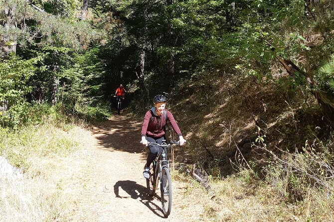 Mountainbike Magic: Viennas Forest, Danube, Monastery and Wine. - Discovering the Monastery and Wine