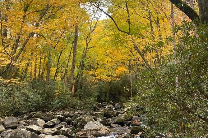 Mountaineers Way Hike in the Smokies - Physical Fitness Requirements
