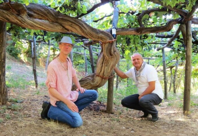 Mountains and Vineyards: the Secrets of the Coast in Calesse - Inclusions and Support