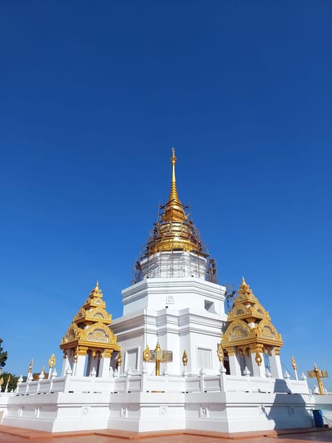 Mountains Discovery:Doi Mae Salong & Doi Tung (Private Tour) - Natural Beauty of Doi Tung