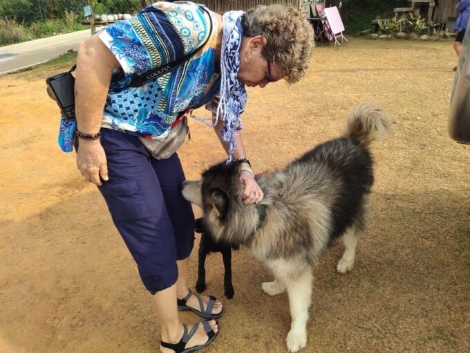 Mountains Discovery:Doi Mae Salong & Doi Tung (Private Tour) - Frequently Asked Questions