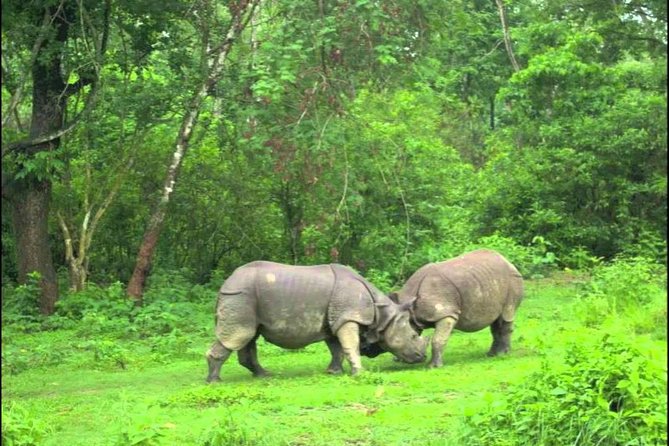 Mountains, Wildlife and Culture Tour - Cancellation Policy