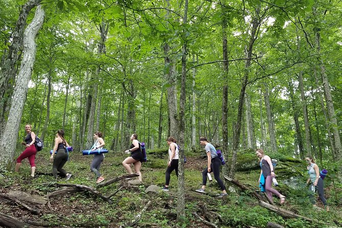 Mountaintop Yoga & Meditation Hike in Asheville - Meeting Point