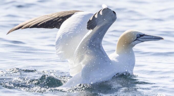 Mounts Bay, Penzance Discovery Boat Trip - Meeting Point and Directions