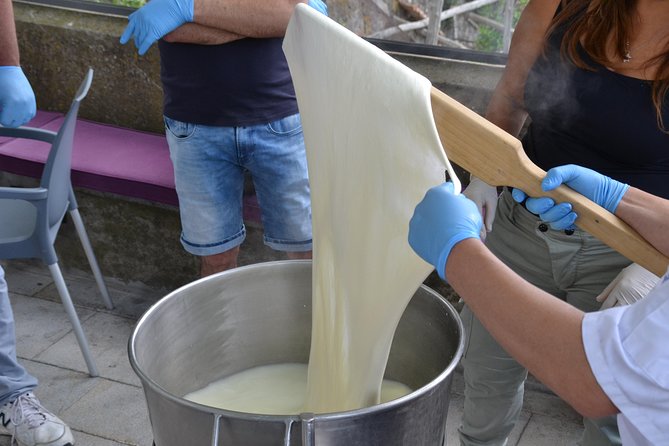 Mozzarella Class or Pizza Class - Transportation