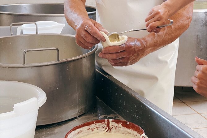 Mozzarella Experience - Cheese Tour and Tastings at Masseria Fragnite - Experience Availability and Duration