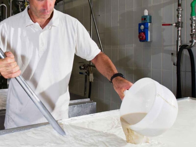 Mozzarella Experience: Tour + Lunch in Paestums Dairy - Key Points