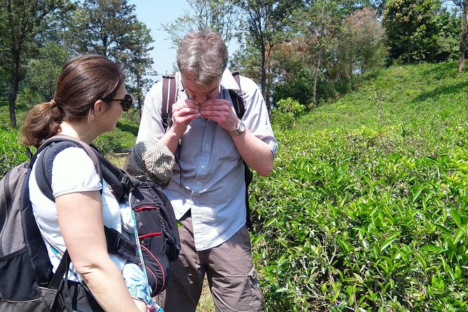 Mr.Kandy Tuk - Hanthana Nature Tour - Tour Accessibility