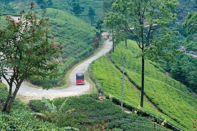 Mr.Kandy Tuk - Hanthana Nature Tour - Nature Highlights