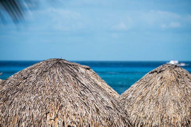Mr. Sanchos Beach Club All-Inclusive Day Pass - Booking and Policies