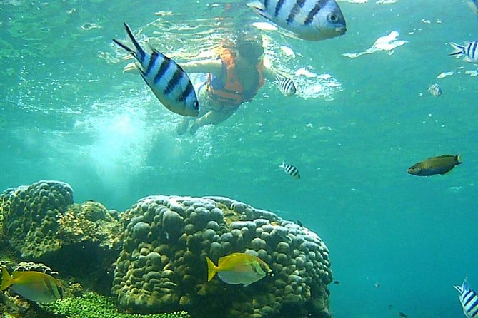 Mr. Tu Day Trip to Angthong Marine Park by Speed Boat From Koh Samui - Pricing and Cancellation Policy