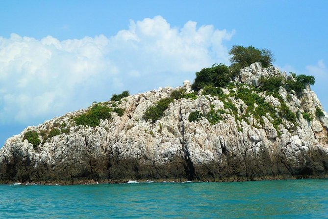 Mr. Tu Fishing Day Trip by Escort Boat From Koh Samui - Additional Notes and Considerations