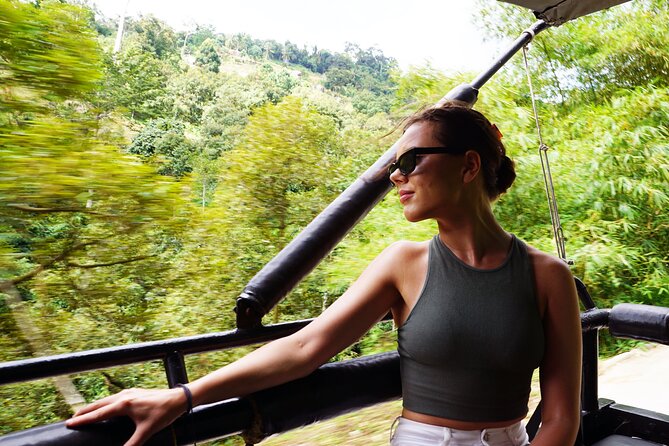 Mr Ungs Jungle Safari Tours (including Lunch) - Inclusions